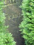 image of grave number 459187
